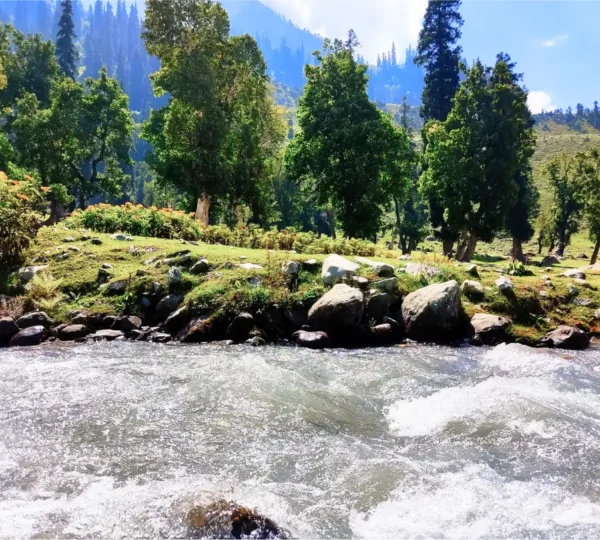 A Short and Happy Trip Valley Voyagers 3