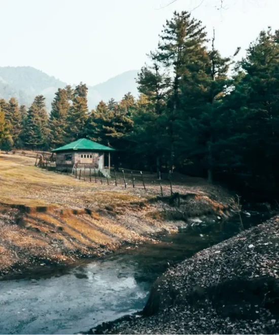 Best of Kashmir: The Ultimate Family Vacation