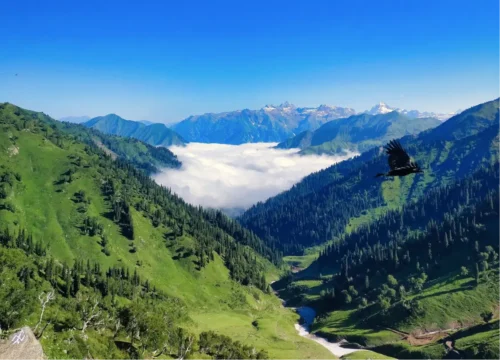 Delightful Discoveries in Kashmir Valley Voyagers 3