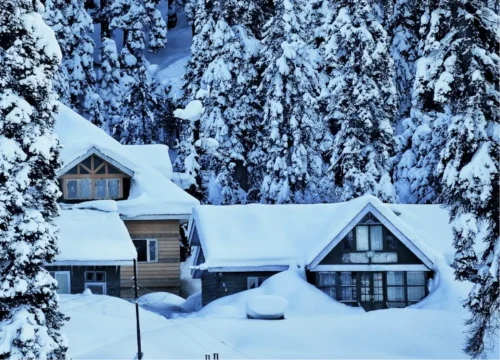 Exotic Kashmir Winter Escape - Featuring Gulmarg Valley Voyagers 2