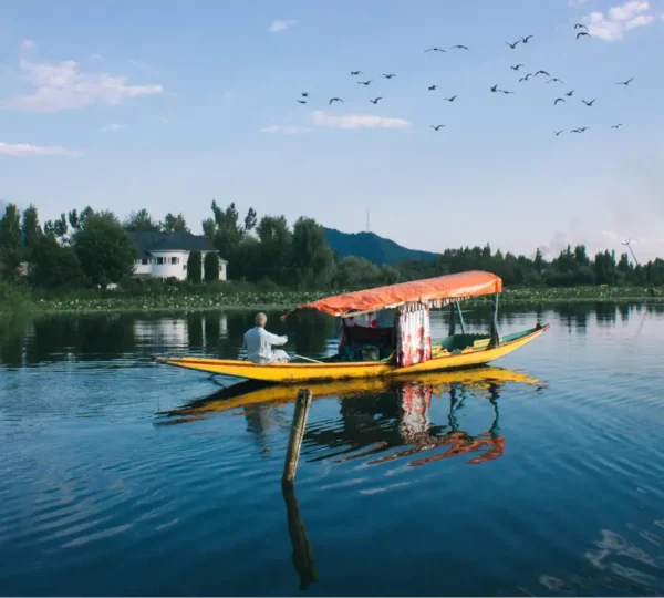 The Well-Known Shikara Ride in Kashmir: A Calm Retreat