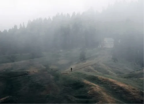 Exotic Kashmir_ Embrace the Beauty of Dal Lake Valley Voyagers 4
